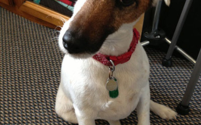 Sewing Room Clean-up