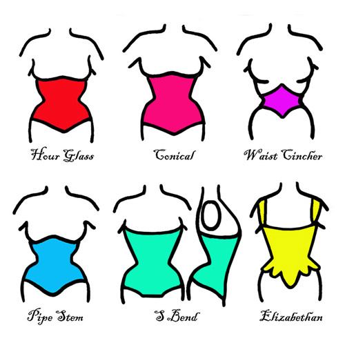 What Are The Different Corset Waist Shapes - Corset Training